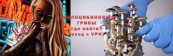 прущие крисы Армянск