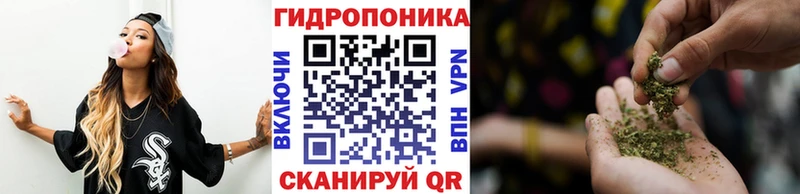 где купить наркоту  Можга  Шишки марихуана конопля 